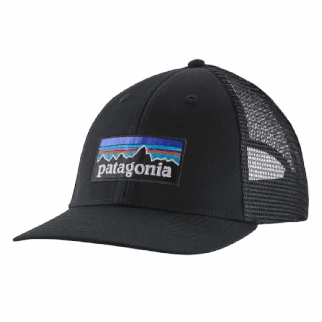 Patagonia P-6 Logo LoPro Trucker Hat (PEACH)