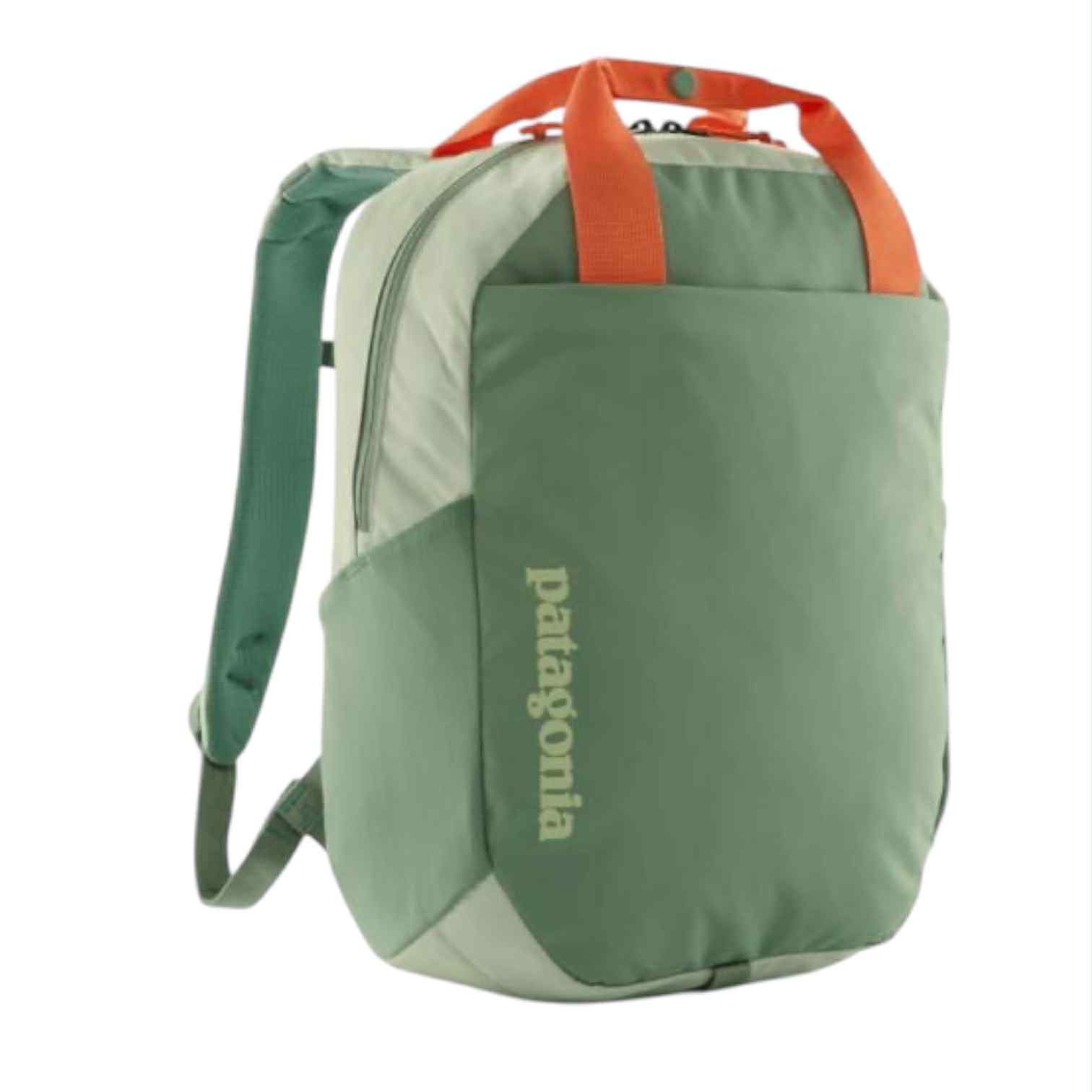 Patagonia Atom Tote Pack 20L (LICHEN GREEN)