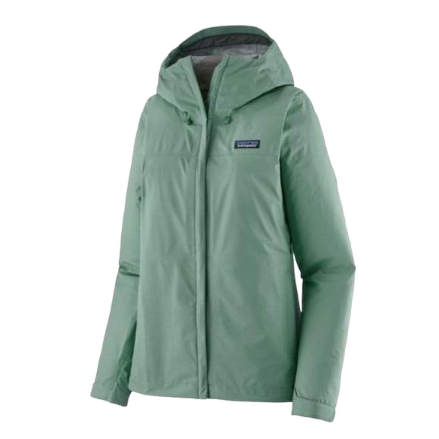 Patagonia Women's Torrentshell 3L Jacket (M, HEMLOCK GREEN)