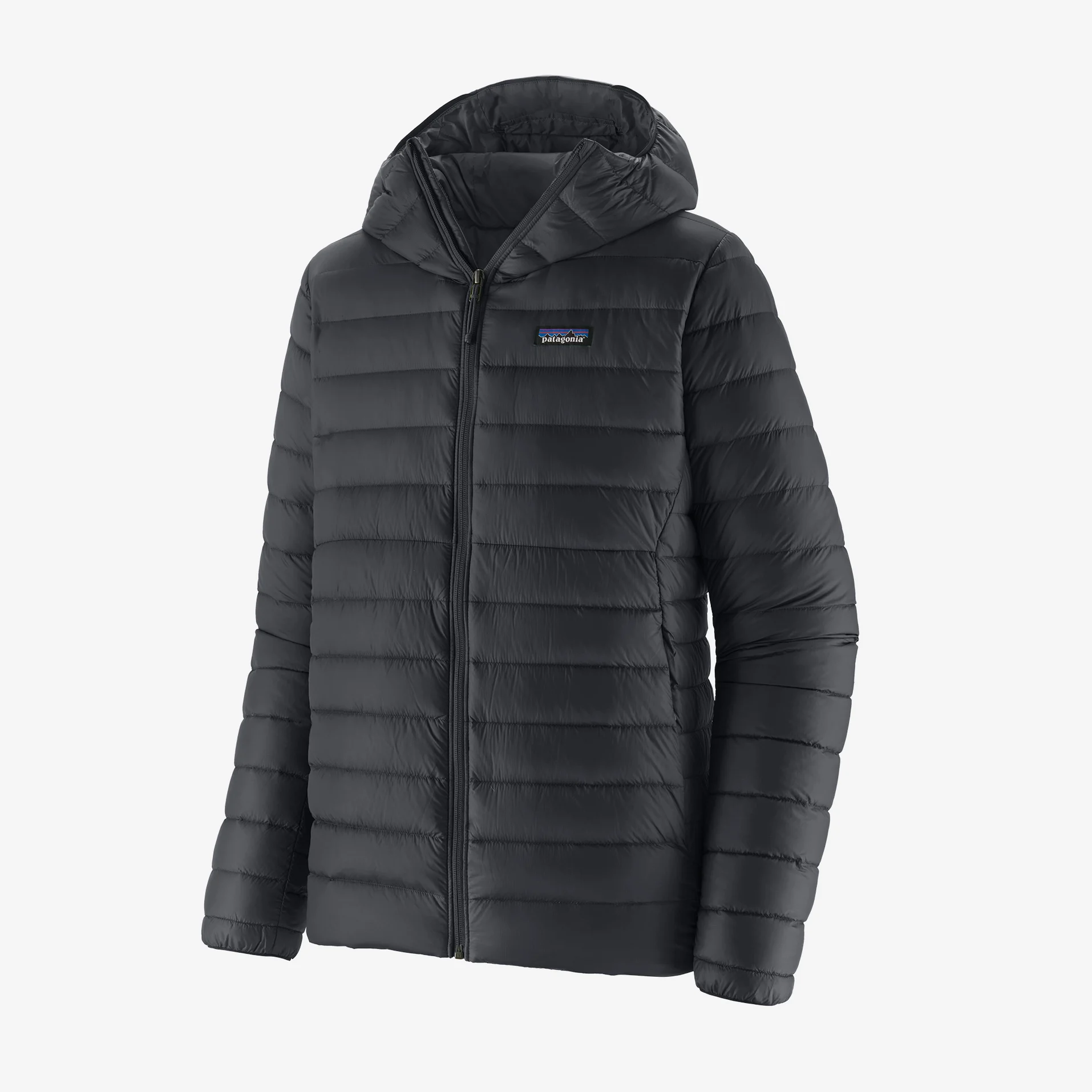 Patagonia Men's Down Sweater Hoody (PINYON GREEN, L)