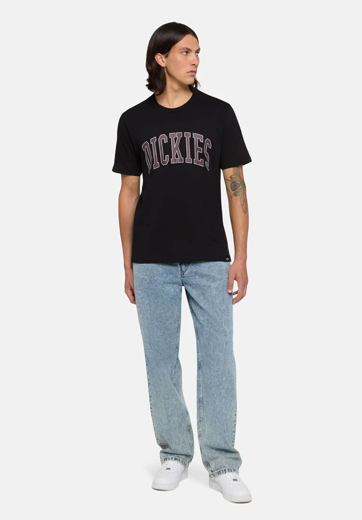 T-SHIRT MANICHE CORTE DICKIES AITKIN TEE BLK PLUM PERFCT M (Size M)